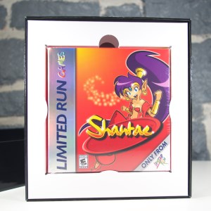 Shantae Collector's Edition (06)